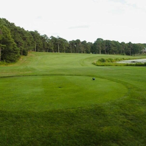 Dennis-Pines-Hole-11