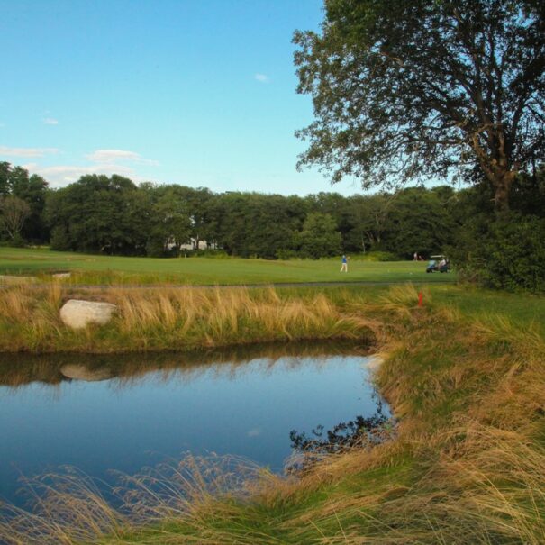 Dennis-Pines-Hole-14-Overlook-15_16