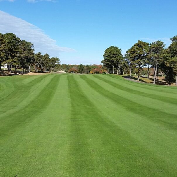 Dennis-Pines-Hole-18-6