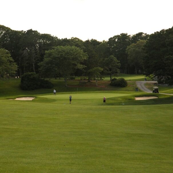 Dennis-Pines-Hole-181