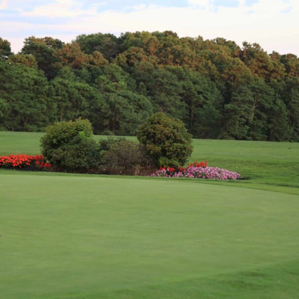 Highlands-Putting-Green-overlooking-Range